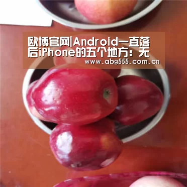 欧博