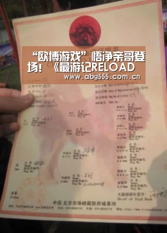 欧博登入